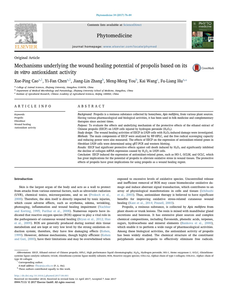 Phytomedicine Original Article