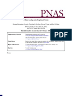 Cellular Scaling Rules for Primate Brains - Suzana Herculano-Houzel - NeurociêNcia