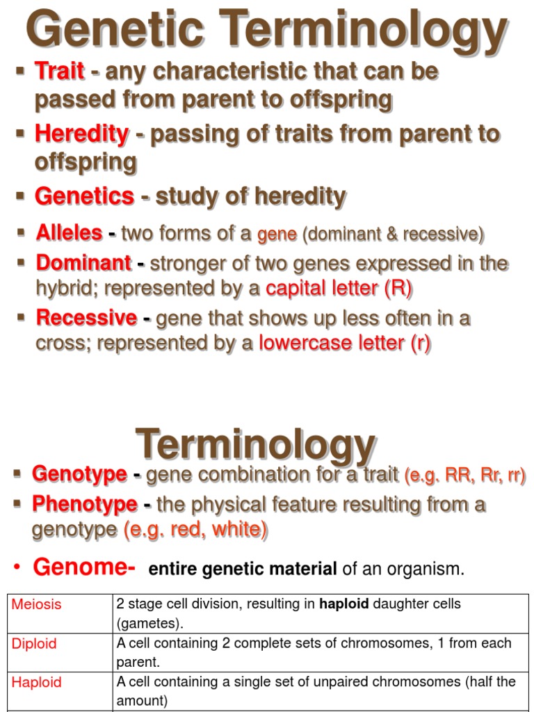 Genetics and Inheritance | PDF | Gene | Dominance (Genetics)