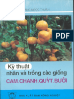 Kỹ Thuật Nhân Và Trồng Các Giống Cam Chanh Quýt Bưởi - Hoàng Ngọc Thuận, 67 Trang