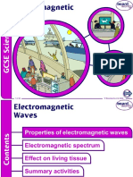 Em Waves