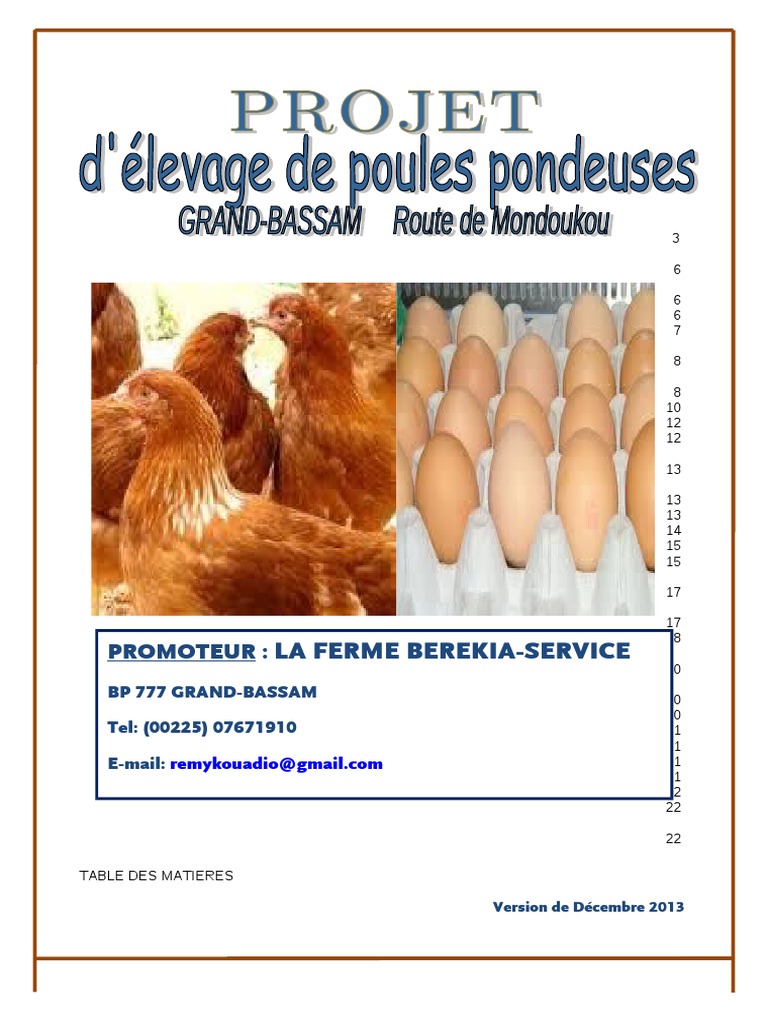 213553268 Plan d Affaires Elevage Pondeuses  Côte d'Ivoire  Poulet