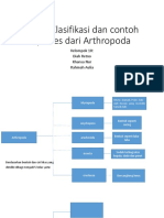 Dasar Klasifikasi Dan Contoh Spesies Dari Arthropoda