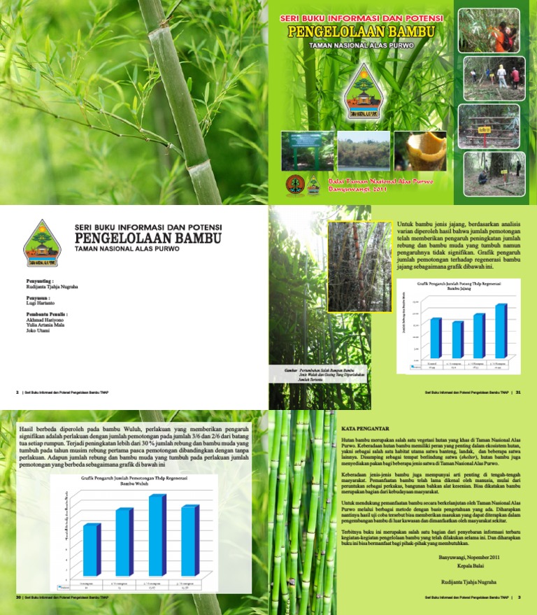  Buku  Potensi Bambu  pdf