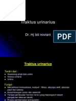 Traktus Urinarius