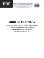 Ghid de Practica - MASTERAT CIG 2016 2017