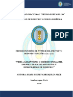 Primer Informe de Avance