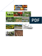 AGROMETEOROLOGIA PICTURES.docx