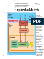 Module 5.2 (Dragged) 3