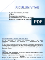 estructuracurriculumvitae-110804132910-phpapp01.pdf