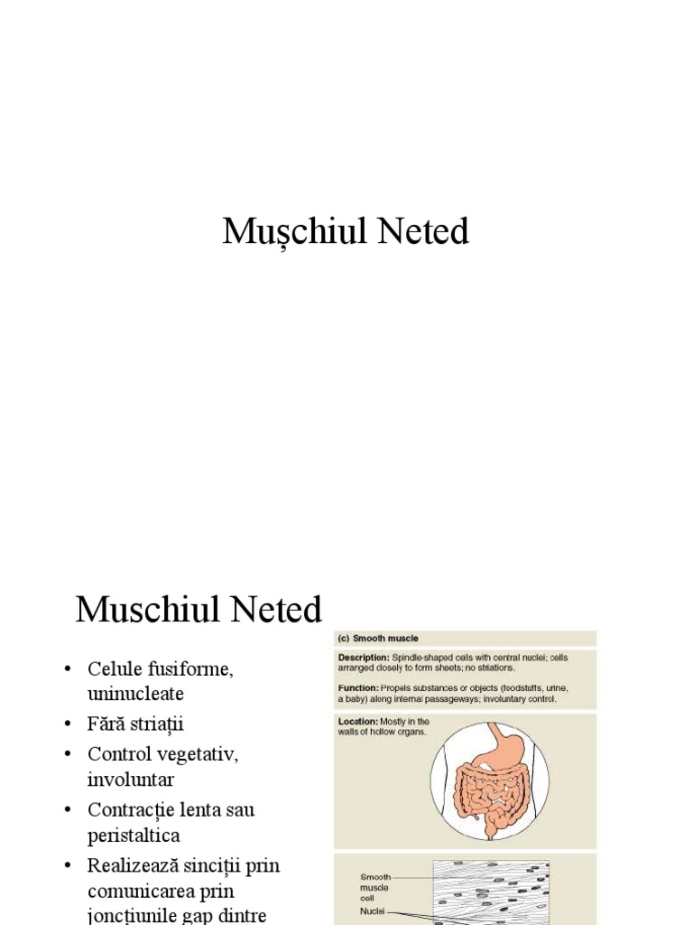 Muschiul Neted 2017 | PDF