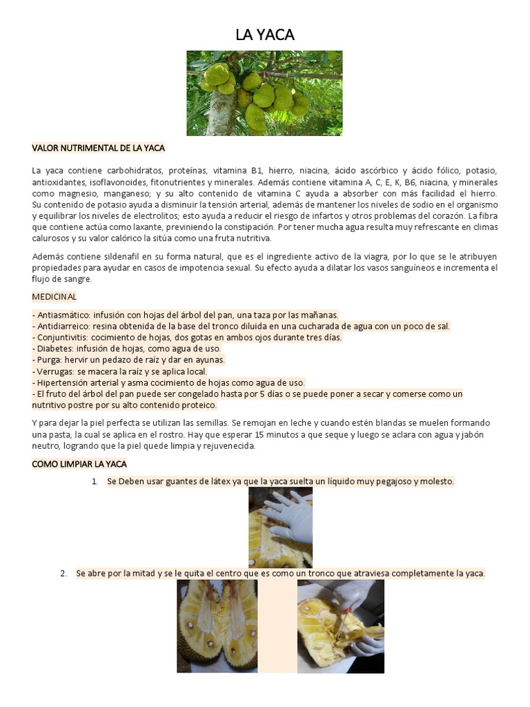 Beneficios y recetas de la yaca | PDF | Helado | Agua