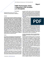 The CRYPTOCHROME Photoreceptor Gates PDF Neuropeptide Signalin 2009 Current