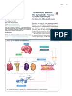 The Networks Between the Sympathetic Nervous System and Immune System in Atherosclerosis