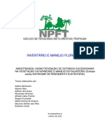 Apostila Curso InventarioNPFT