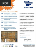 Carpinteiro de Cofragem