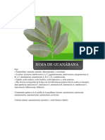 Composición Química de La Hoja de Guanabana