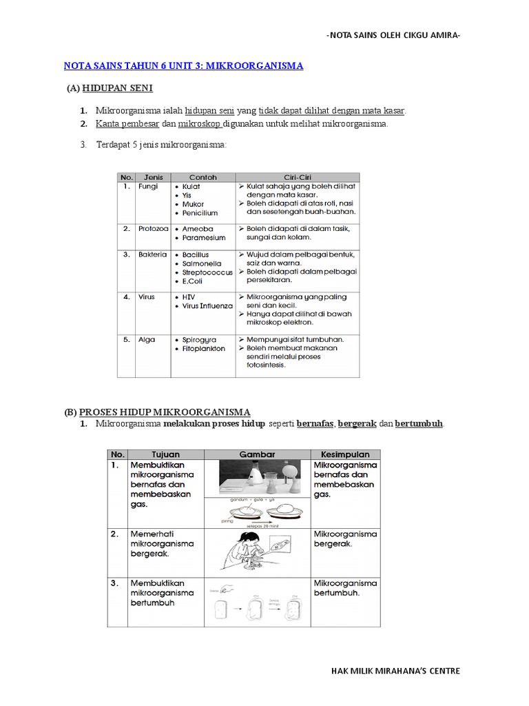 Nota Sains Tahun 6 Unit 3  PDF
