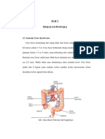 BAB 2 Radiologi Gede