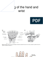 Imaging of The Hand and Wrist