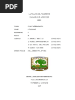 Download Laporan Dda 2 by Afika Chika SN368303883 doc pdf