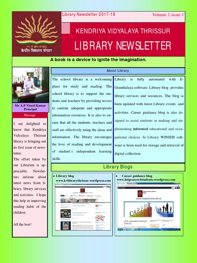 School Library Insights | PDF | Libraries