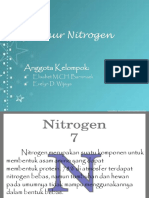 Daur Nitrogen 