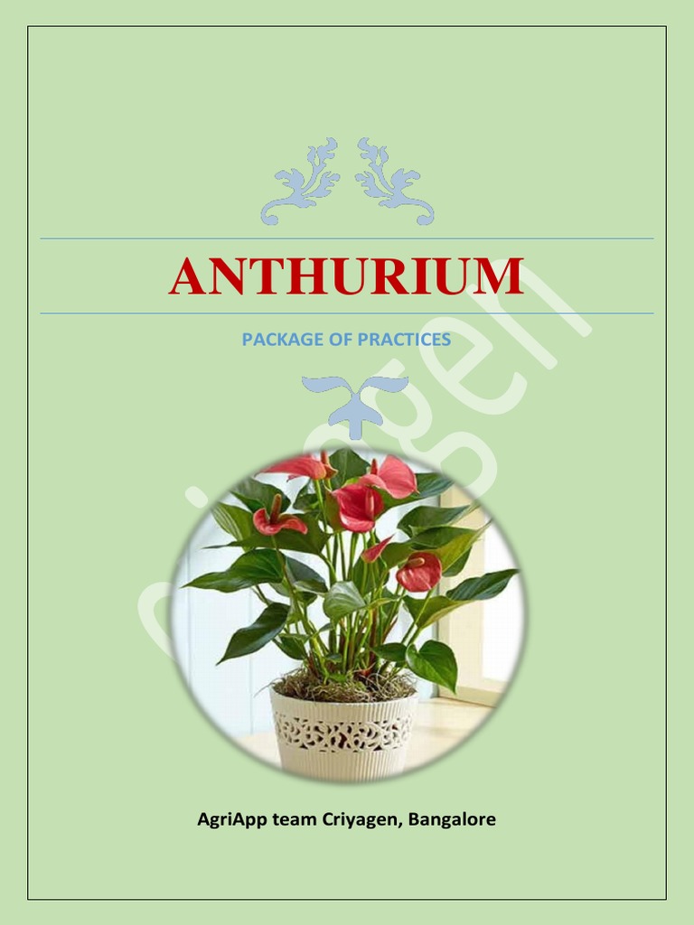 anthurium plant fertilizer
