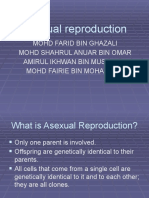 Asexual Reproduction 1