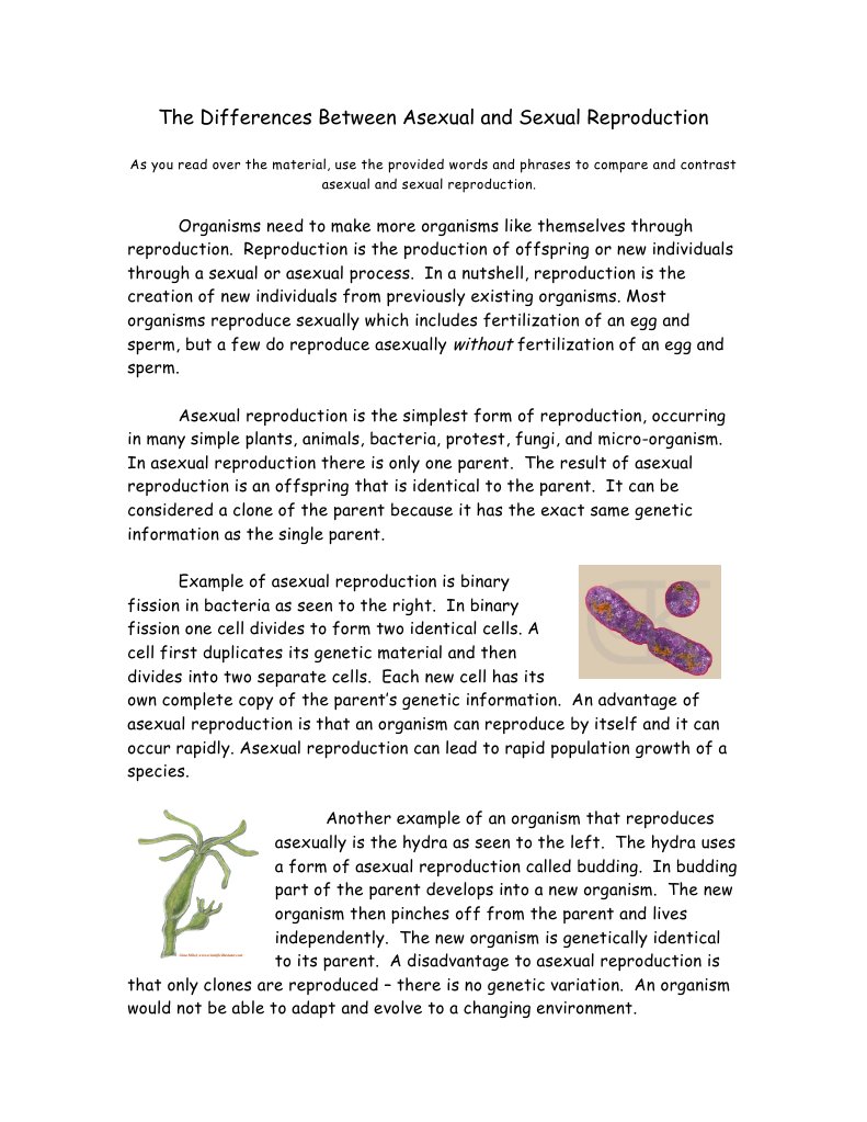 The Differences Between Asexual and Sexual Reproduction (1 ...
