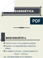 Bioenergetica 2008