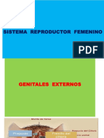 Sistema Reproductor Femenino