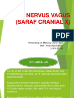 Nervus Vagus  Fix