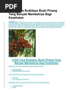 Inilah Cara Budidaya Buah Pinang Yang Banyak Manfaatnya Bagi Kesehatan