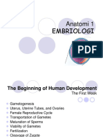 EMBRYOLOGIS 1