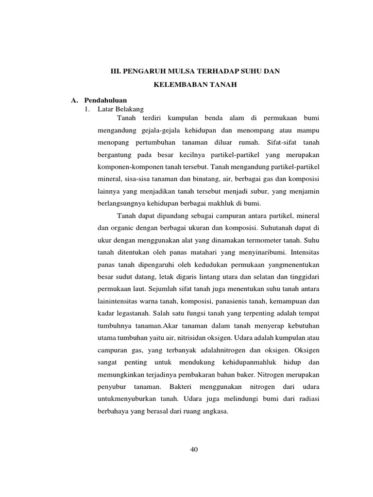 Sejumlah Tanaman Jagung Pada Sepetak Kebun Disebut - Coba Sebutkan