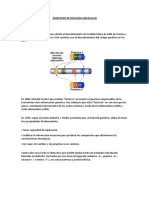 Principios de Biología Molecular