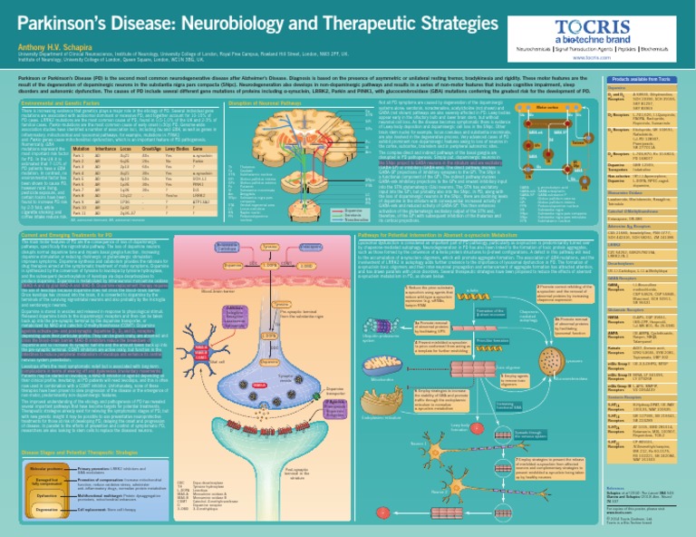 Parkinsons Poster 2014 | PDF | Dopamine | Parkinson's Disease
