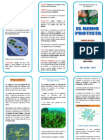 Triptico Reino Protista