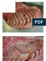 Pulmón - Anatomía Veterinaria