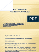 Tribunal Constitucional