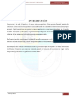 INFORME-FQ-6 Presion de Vapor