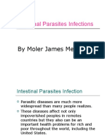 Intestinal Parasites Infections: by Moler James Memoria