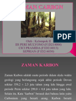 Zaman Carbon