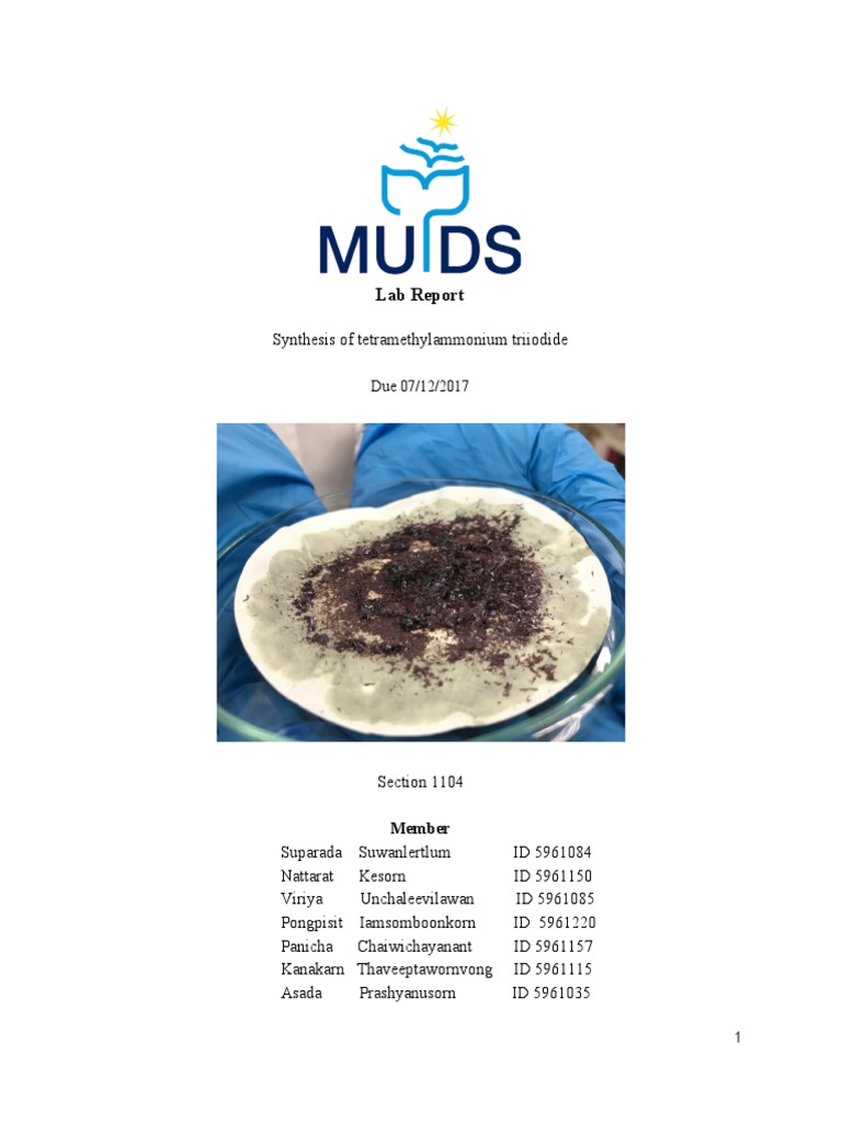 Chemistry Lab Report PDF Stoichiometry Filtration