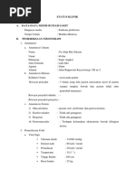 Download 14373_status Klinik Piriformis Syndrome by DemitradeniawatiHilmi SN368394436 doc pdf