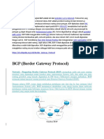 BGP (Border Gateway Protocol)