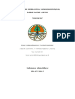 Analisis Sistem Informasi Dinas Lingkungan Hidup (DLH) Provinsi Lampung
