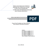 Estructura Modelo Del PST 2012