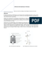 Apartarrayo y Pararrayo